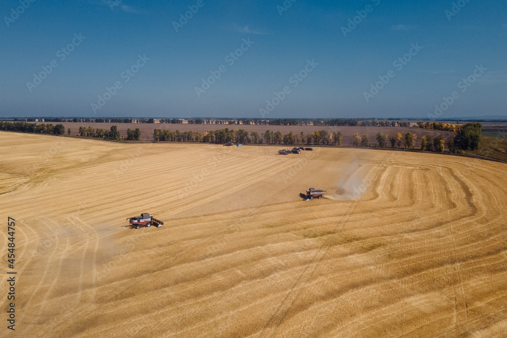 the harvester in the field harvests the crop