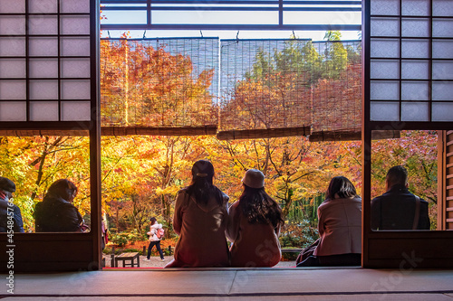 tourists viewing beautiful Maple leaf in Japanese Garden. Landmark and famous in autumn season