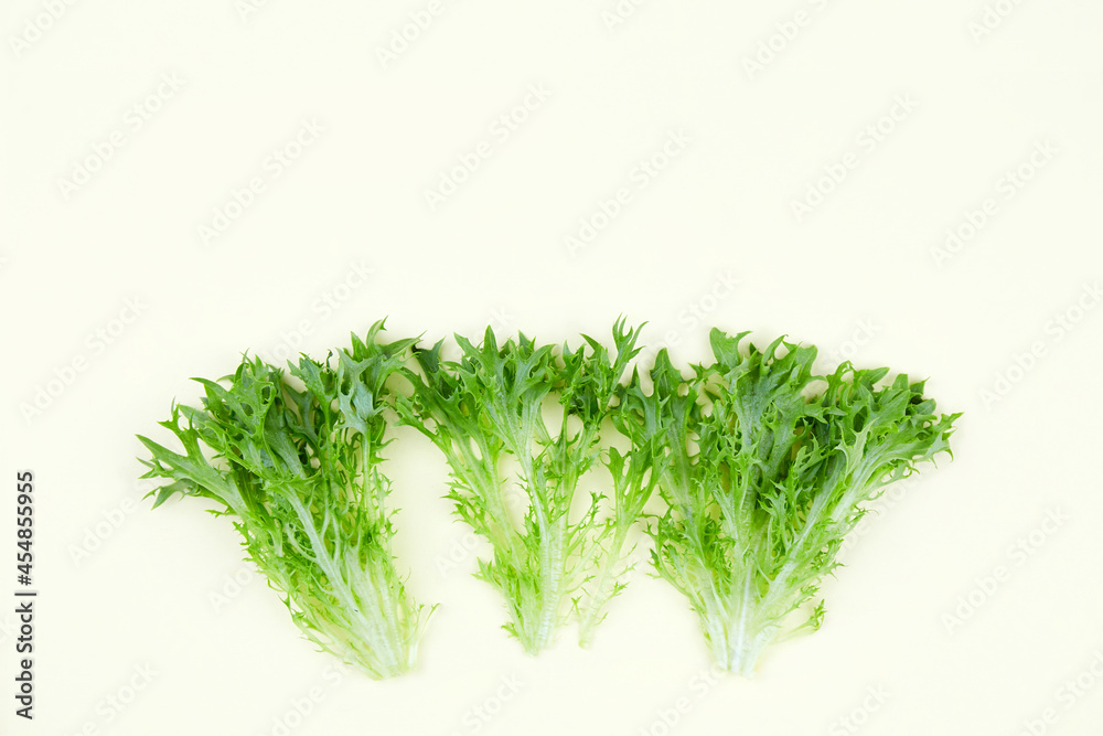 Raw organic green frisee salad on light background. Close up. Flat lay . Copy space. Raw organic green frisee salad on light background. Close up. Flat lay . Copy space.