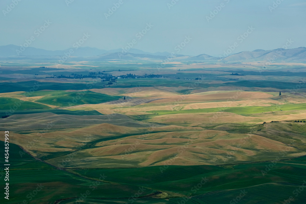 Fototapeta premium Palouse, Wheat fields , WA