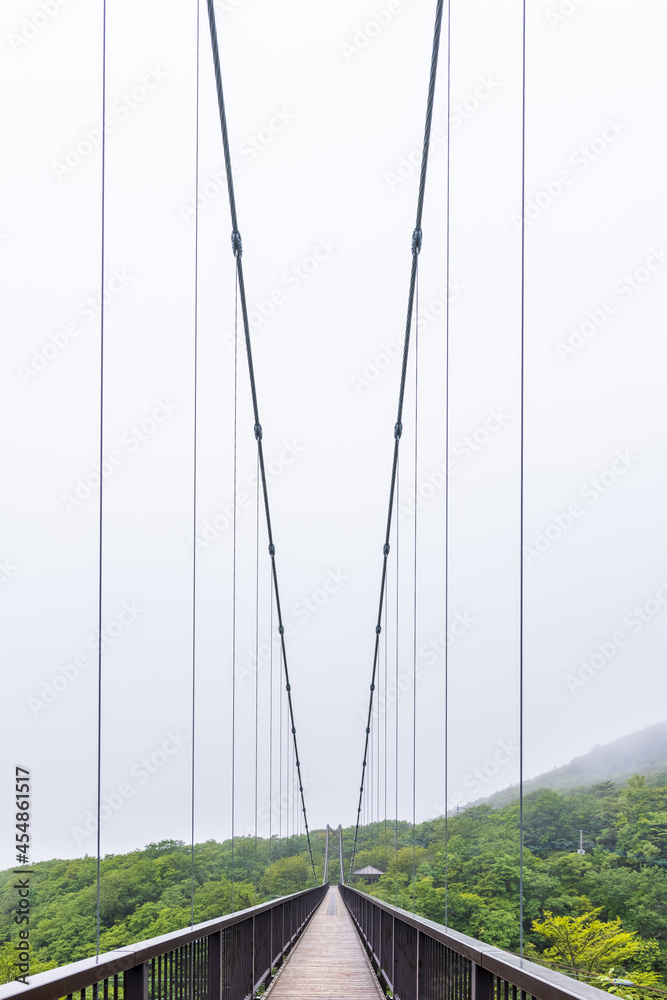 Obraz premium もやの中の那須塩原のつつじ吊橋