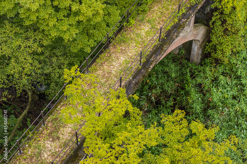 林の中の渓谷に架かる今は使われていないコンクリート製のアーチ橋