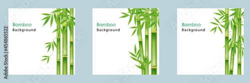 Set collection of realistic green bamboo tree leaf on white square background.