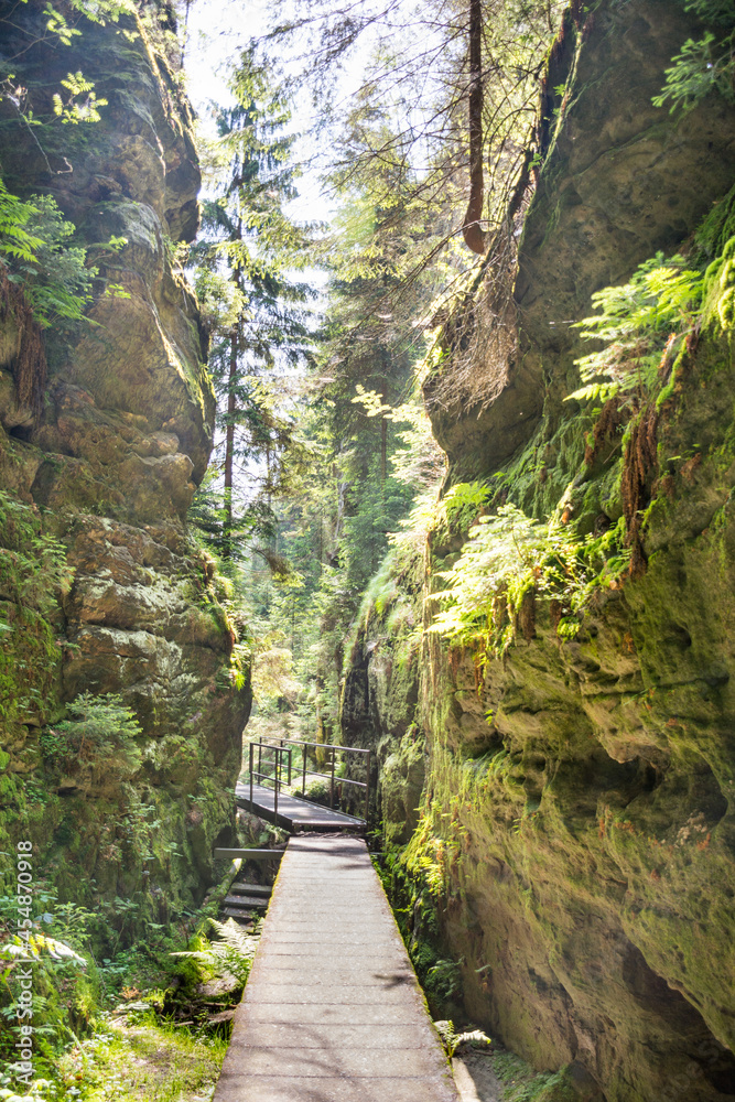 Bridge Leading Through Moss Covered Rock Walls
Bridge Leading Through Moss Covered Rock Walls
