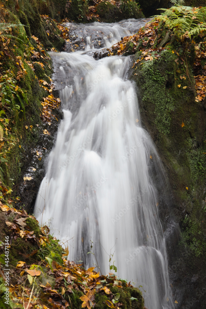 Water cascading down Rausch waterfall with plants growing on the sides in the forest near Cochem, German. Water cascading down Rausch waterfall with plants growing on the sides in the forest near Cochem, German.