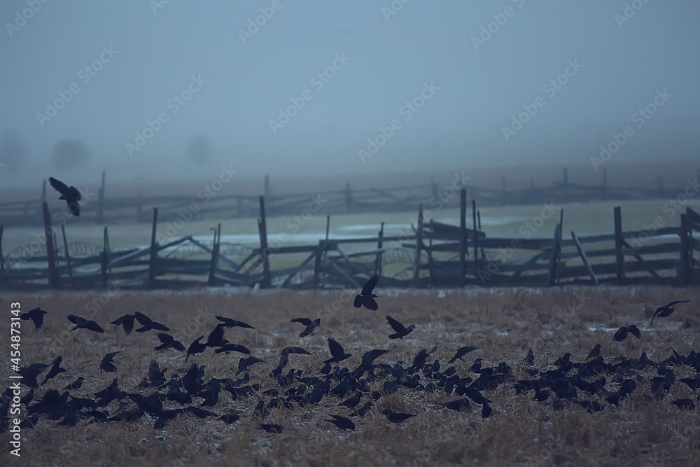 autumn landscape, flock of black birds, concept of sadness autumn foggy background