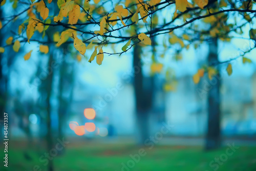 autumn evening branches gloomy background, abstract seasonal concept sadness stress