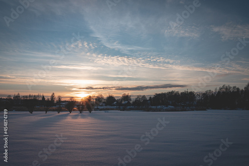 evening sunset over snow covered field, tree silhouettes with leafless branches, magentas and blues, copy space for text on snow, almost cloudless sky, heavenly beautiful blue hour in january © Neils