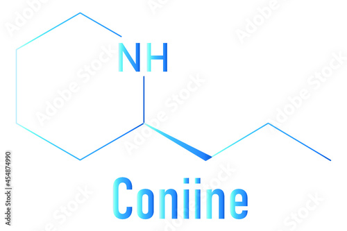 Coniine herbal toxin molecule. Present in poison hemlock (Conium maculatum). Skeletal formula. photo