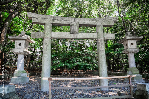 Torii gate and stone lamps in a park in Fukuoka, Japan