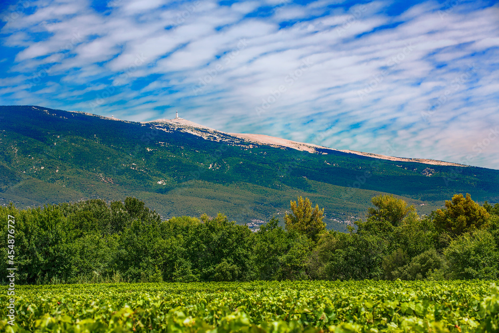 Agricultural Field at the Foot of Mont Ventoux, Provence, France Agricultural Field at the Foot of Mont Ventoux, Provence, France