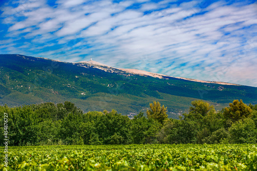 Agricultural Field at the Foot of Mont Ventoux, Provence, France