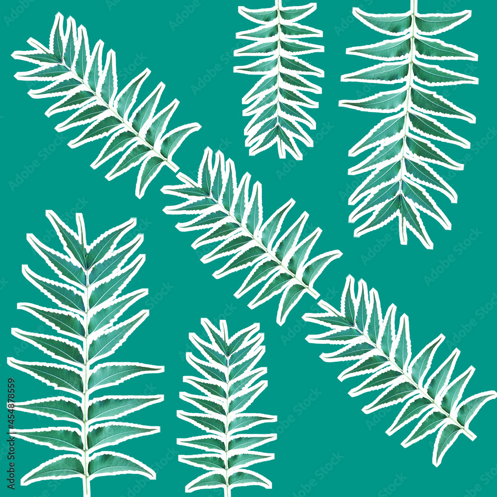 A seamless pattern of Azadirachta indica leaves