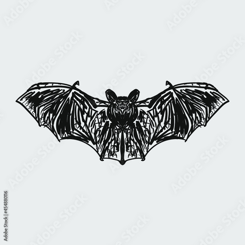 bat. drawn black and white illustration.