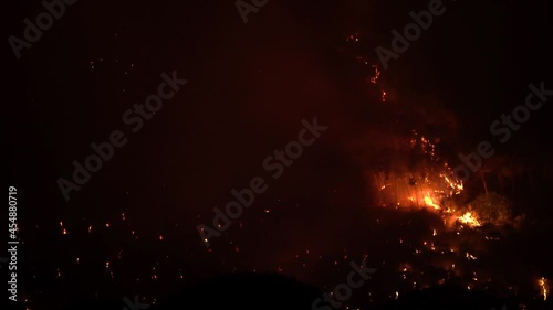 Pisa, Italy. Forest fire at night. Destroyed flora and fauna. Global warming