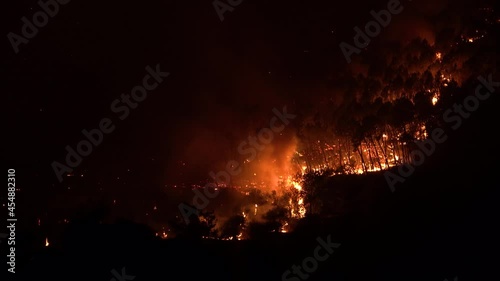 Pisa, Italy. Forest fire at night. Destroyed flora and fauna. Global warming
