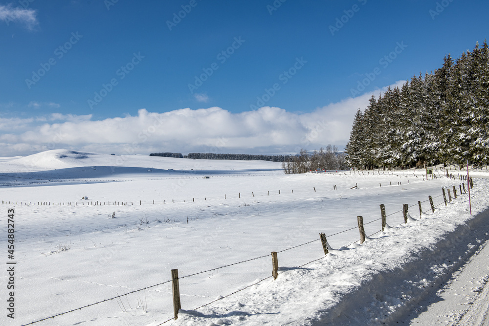 aubrac