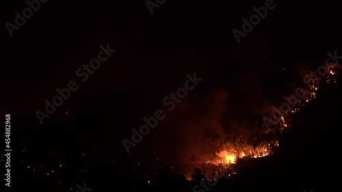 Pisa, Italy. Forest fire at night. Destroyed flora and fauna. Global warming