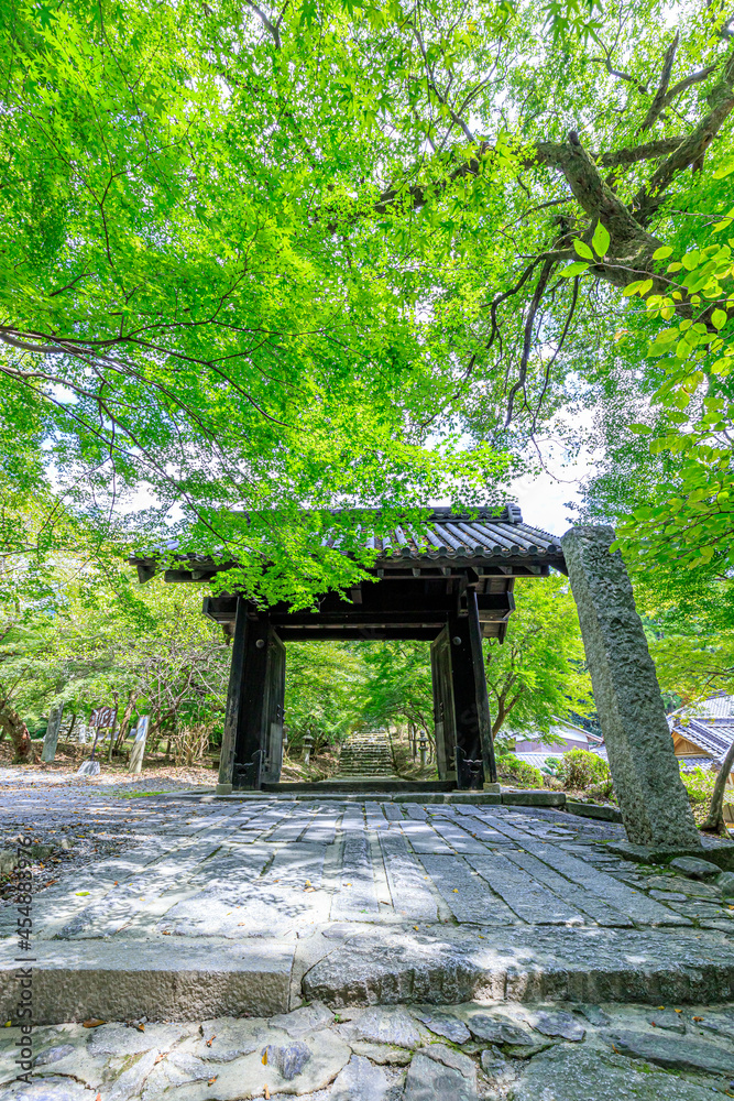 Naklejka premium 夏の秋月城跡 黒門 福岡県朝倉市 Akizuki Castle Ruins in Summer Fukuoka-ken Asakura city