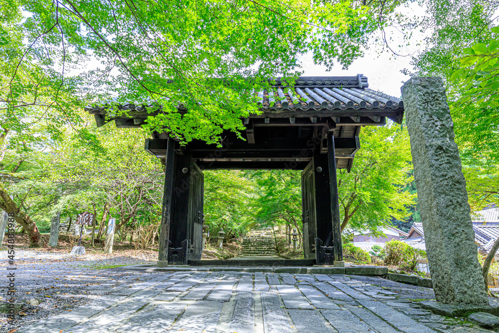 Obraz premium 夏の秋月城跡 黒門 福岡県朝倉市 Akizuki Castle Ruins in Summer Fukuoka-ken Asakura city