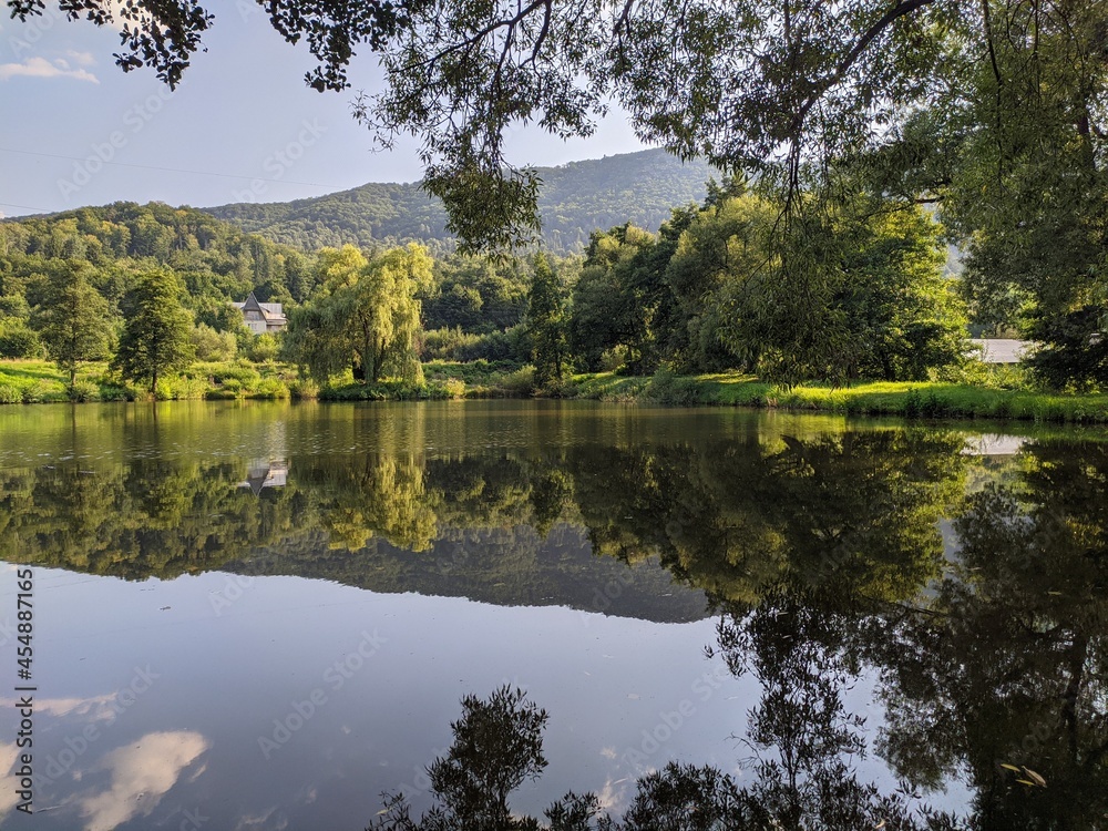 Obraz premium reflection of trees in the lake