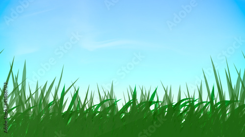 Blue sky, Green grass lawn horisontal