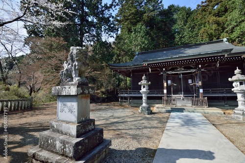 Φωτογραφία 愛宕神社, Atago shrine, komainu