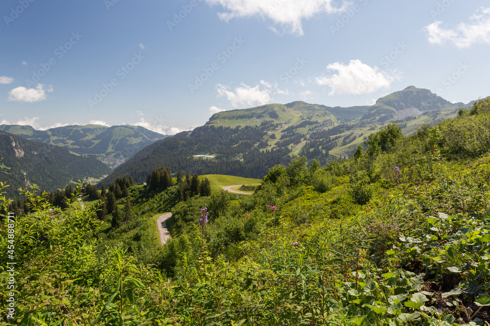 Fototapeta premium Vue vers Châtel