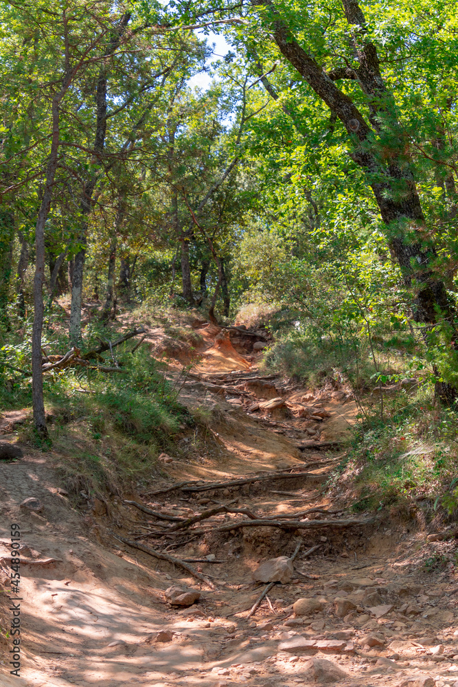 paysage du Colorado Provençal à Rustrel (France)	