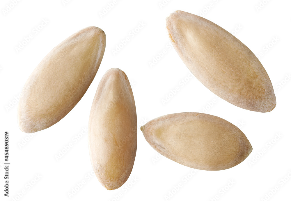 Obraz premium cucumber seeds macro