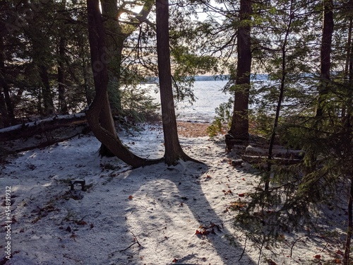 Winter Pond