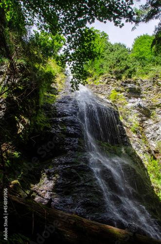 waterfall in the woods