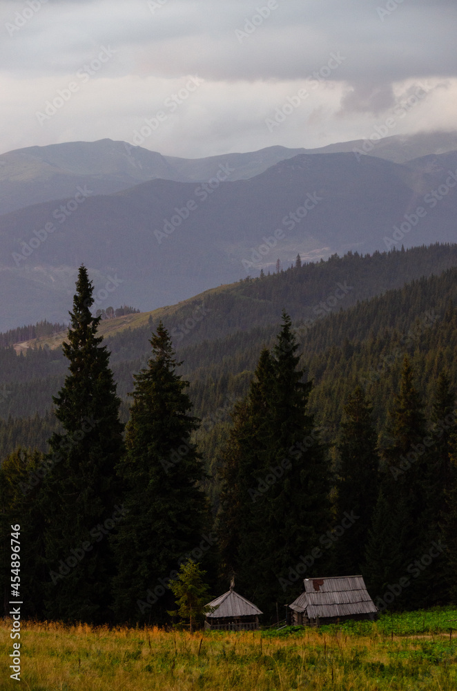 landscape in the morning