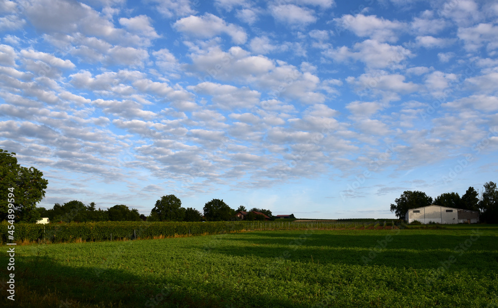 Cumulus clouds  above a countryside landscape on a clear, sunny day. 