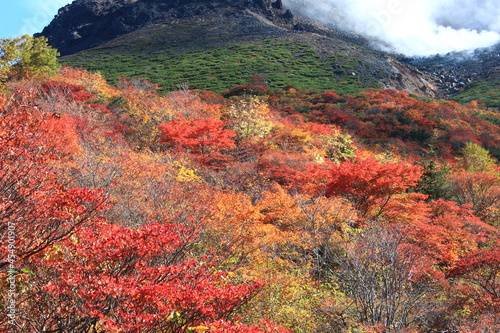 紅葉の茶臼岳（那須岳）姥ヶ平 。 © onaka
