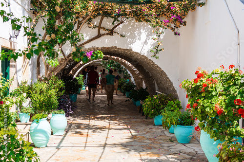 Fototapeta Naklejka Na Ścianę i Meble -  flowers in the street