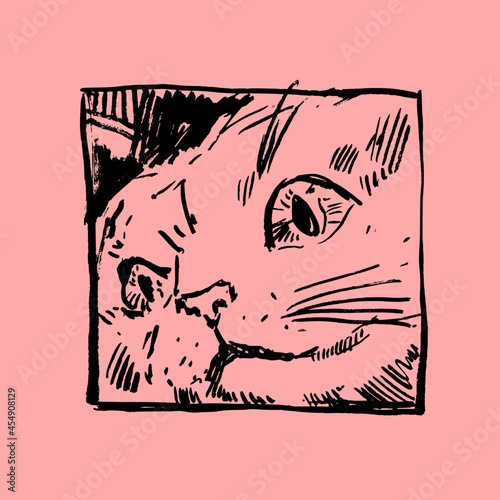 Hand drawn vector illustration with cat. Graphic vintage design.