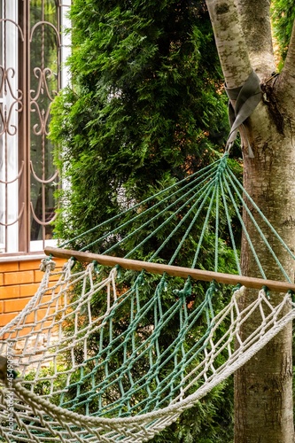 Fototapeta Naklejka Na Ścianę i Meble -  Life Hack. Hammock between trees against background of evergreens. In background is country house. Close-up of attaching hammock to tree. Evergreen garden. Atmosphere of calm and relaxation.