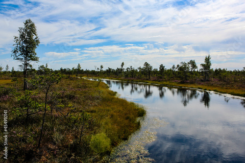 Landscape with a lake in a swamp © Lelde