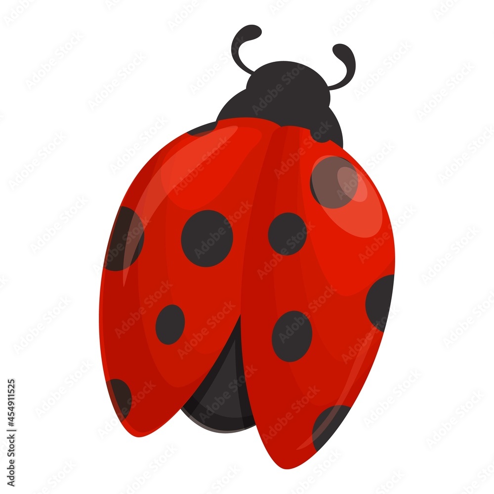 Obraz premium Spring ladybird icon cartoon vector. Ladybug insect. Summer beetle