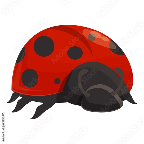 Summer ladybug icon cartoon vector. Ladybird bug. Beetle insect