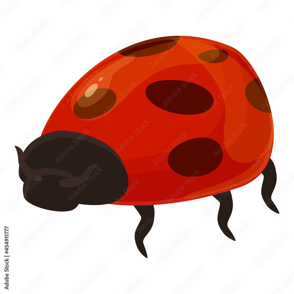 Fototapeta premium Small ladybug icon cartoon vector. Bug ladybird. Fly insect