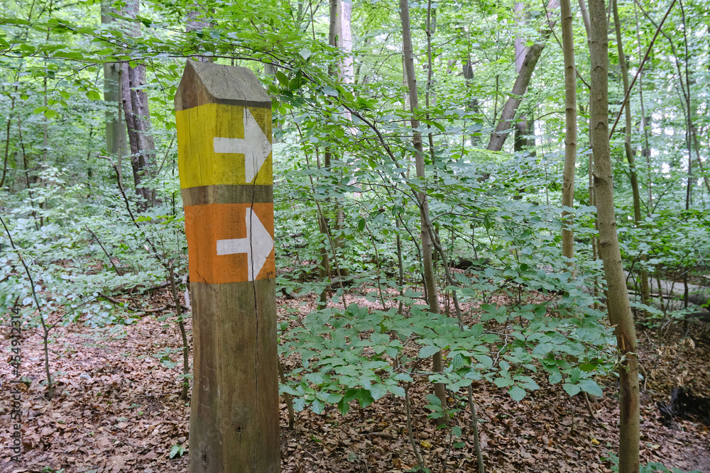 Wooden sign pole with arrows