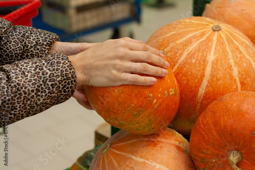 Woman chooses a pumpkin