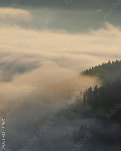 mist over the river © Yurii Andreichyn