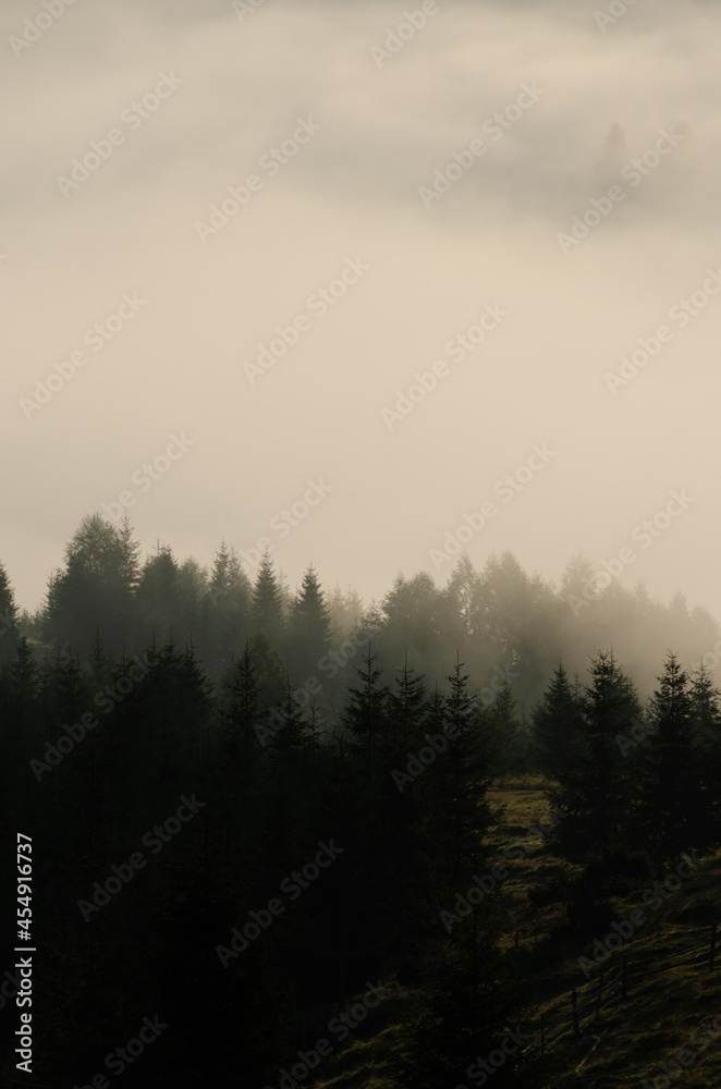 fog in the mountains fog in the mountains