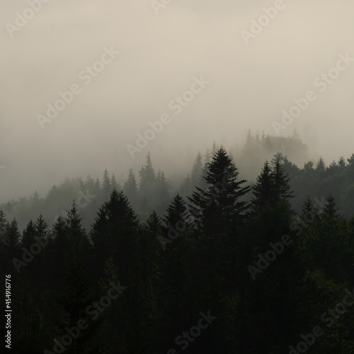 mist in the mountains © Yurii Andreichyn