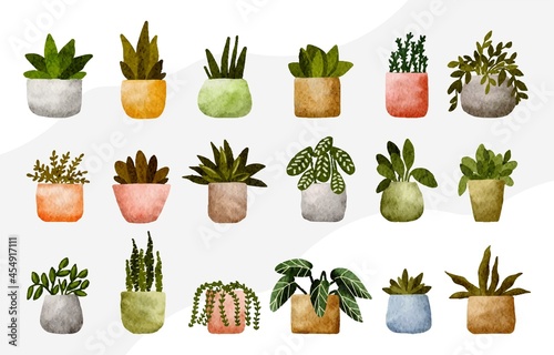 Set of isolated cute houseplants in flowerpots illustration