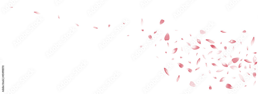Color Rose Petal Vector White Background. White