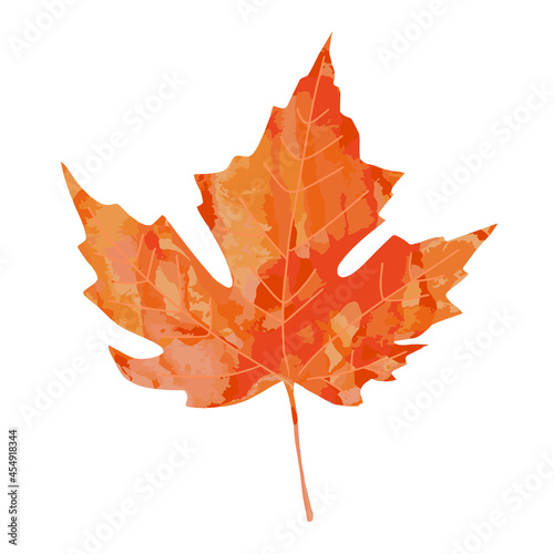 Bright watercolor painted artistic orange red watercolor maple leaf vector illustration isolated on white background. Autumn leaves element for fall design